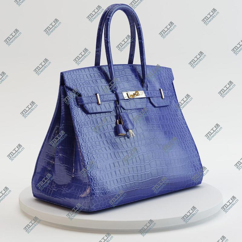 images/goods_img/20210319/Hermes - Birkin Crocodile Bag/5.jpg